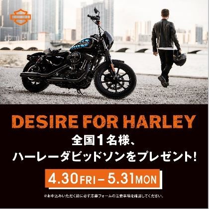 ハーレーダビッドソンXL1200NSプレゼントキャンペーン開催!!!