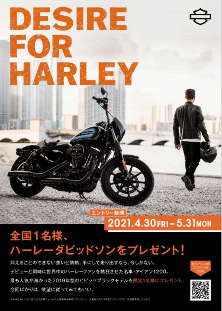 ハーレーダビッドソンXL1200NSプレゼントキャンペーン開催!!!