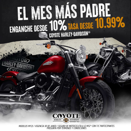 DIA DEL PADRE BENEFICIOS