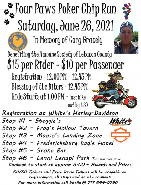 Four Paws Poker Chip Run