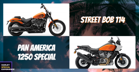 『HARLEY SPECIAL EXPERIENCE』8月対象モデル!応募キャンペーン開催中!