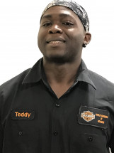 Teddy