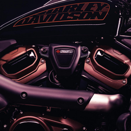 New Bike Reveal
