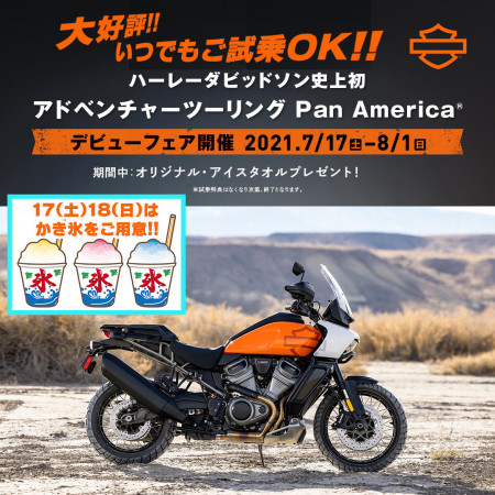 PAN AMERICAデビューフェア☆