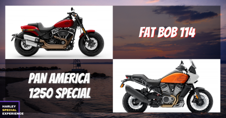 『HARLEY SPECIAL EXPERIENCE』9月対象モデル!応募キャンペーン開催中!