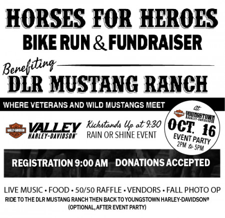 Horses For Heroes