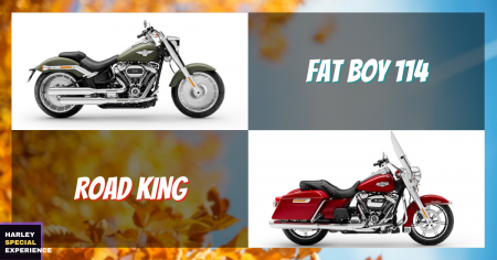 HARLEY SPECIAL EXPERIENCE - ラストチャンス!「FAT BOY™ 114」「ROAD KING™」が登場!