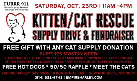Kitten / Cat Rescue Supply Drive & Fundraiser