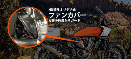 609d164be7fa355097db44d86118e0