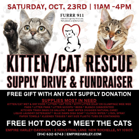 Kitten / Cat Rescue Supply Drive & Fundraiser