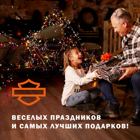 Новогодние праздники