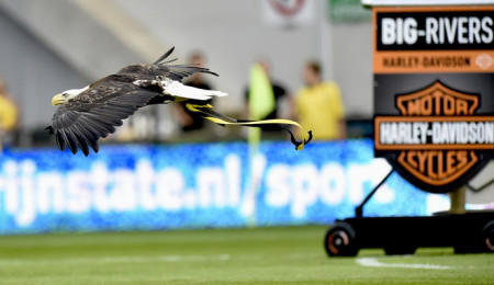 VITESSE-AREND HERTOG