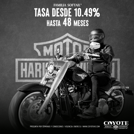 Tasa Preferencial en la Familia Softail®.