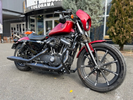 中古車情報!2019年XL883N アイアン883!