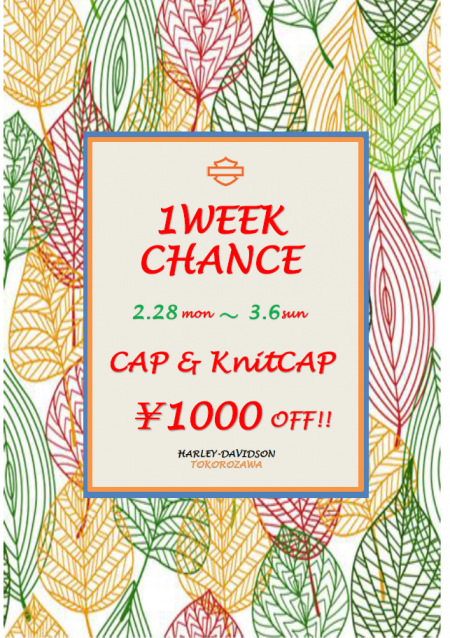 【所沢店限定】1week チャンス☆彡