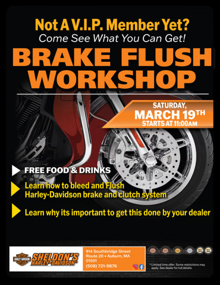 Brake Flush Workshop