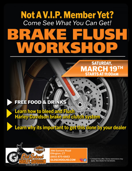 Brake Flush Workshop