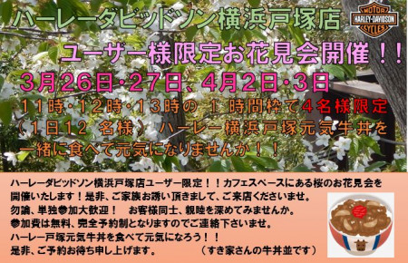ハーレーダビッドソン横浜戸塚店ユーザー様限定・お花見会開催3月26日(土)27日(日)、4月2日(土)3日(日)