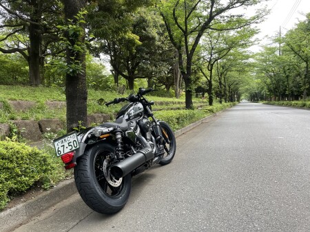 NIGHTSTER デビューフェア