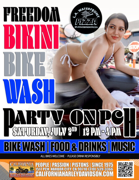 Freedom Bikini Bike Wash