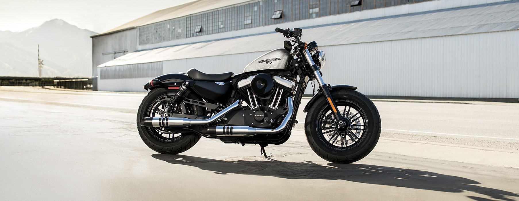 半額満載！スーパーSALE グランドセール！ Forty-Eight® | Harley-Davidson® Brandywine パーツ
