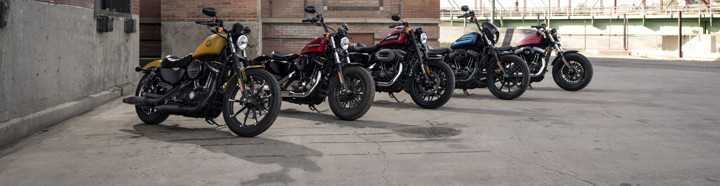 Used Inventory Black Cat HarleyDavidson®