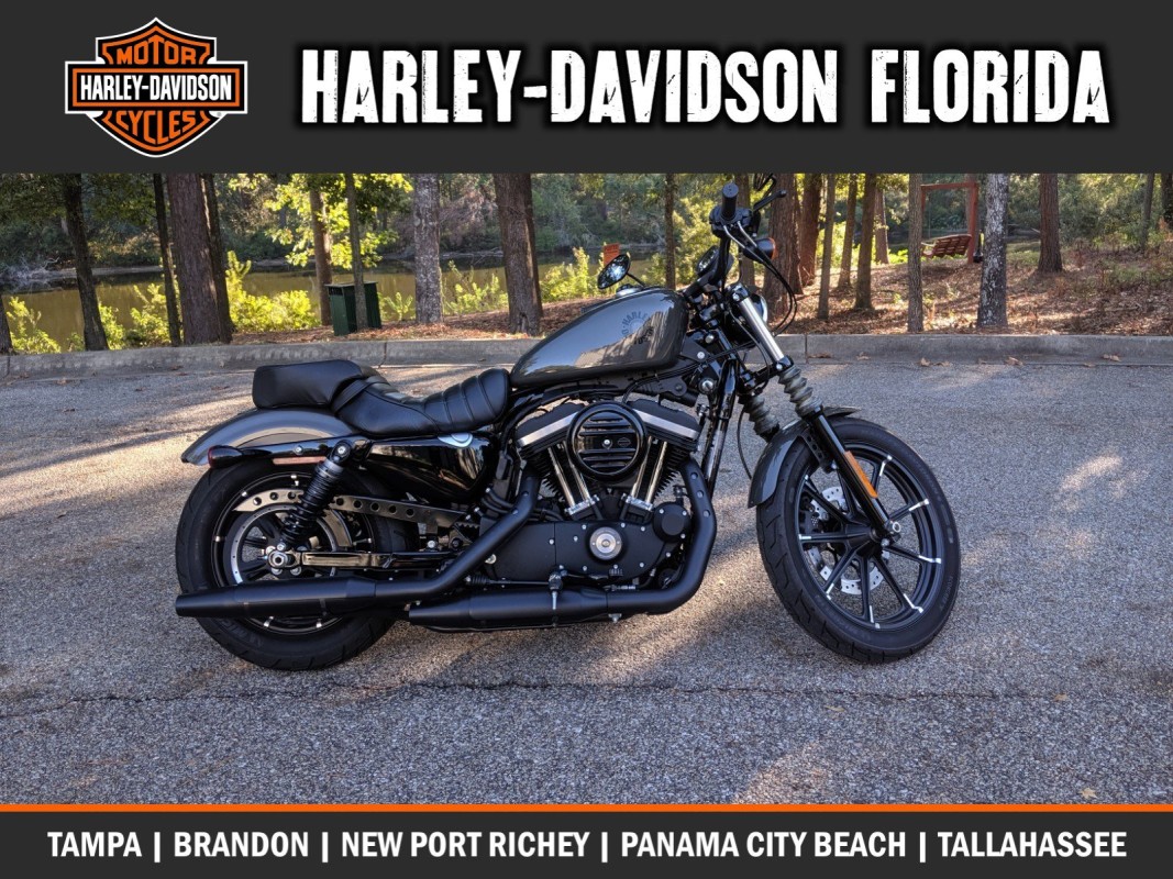 Harley Davidson New Port Richey >> Iron 883 Harley Davidson New Port Richey >> Iron 883