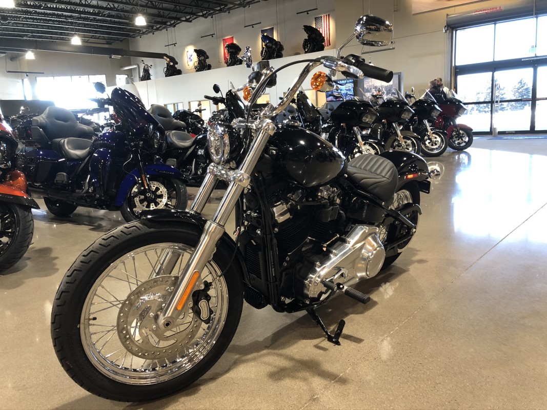 NEW 2021 Harley Davidson Softail Standard FXST FOR SALE near Blaine, MN