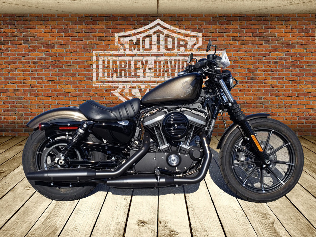 Iron 883™ | Harley-Davidson of Panama City Beach