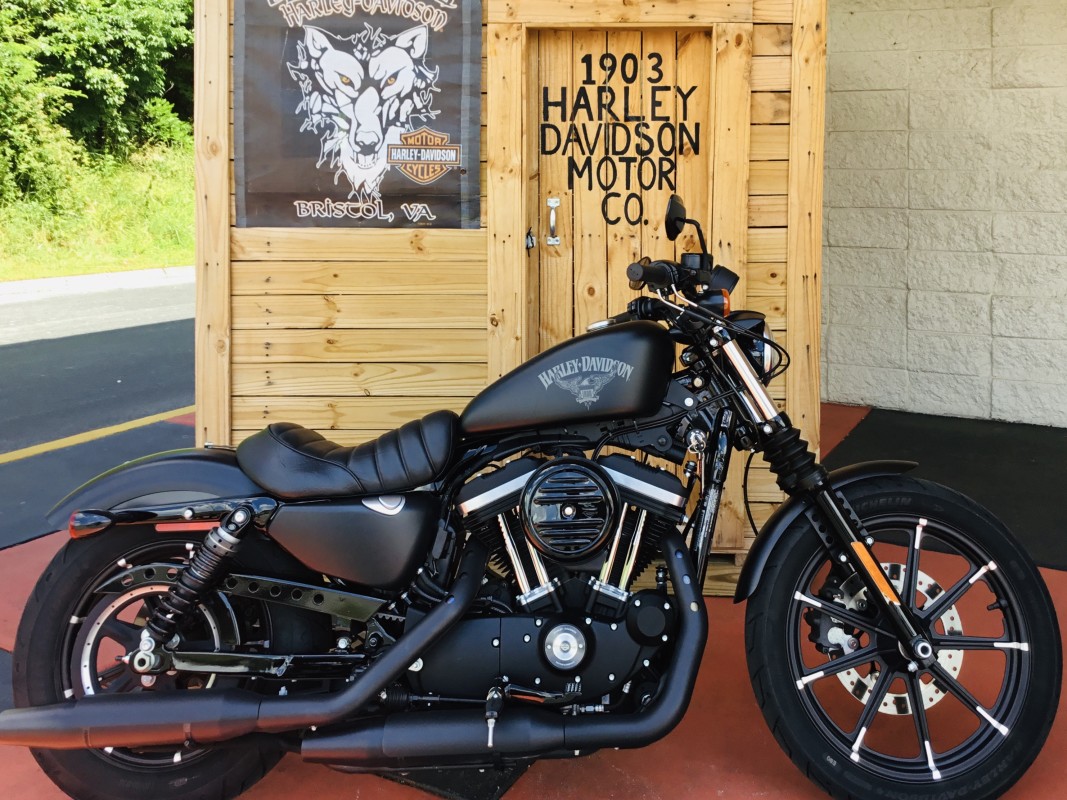 Iron 883™ Black Wolf HarleyDavidson®