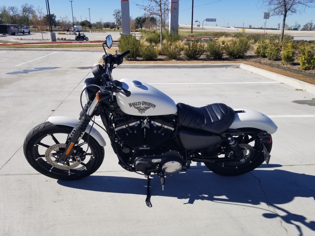 harley davidson iron 883 olive gold