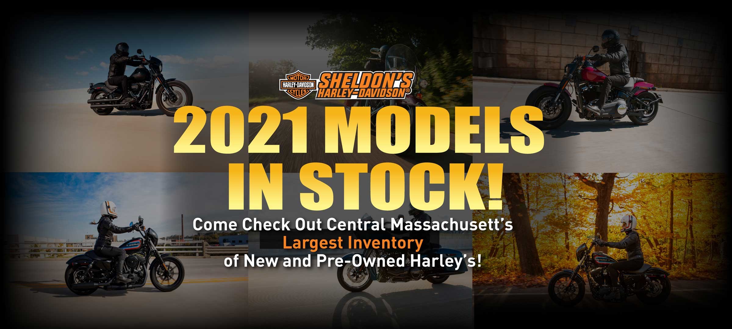 Sheldon S Harley Davidson Worcester County Auburn Ma Sheldon S Harley Davidson Sheldon S Harley Davidson Worcester County Auburn Ma Sheldon S Harley Davidson