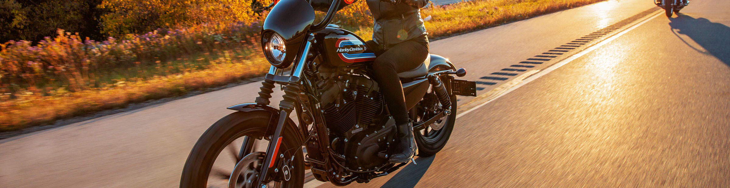 2021 H-D<sup>®</sup> Motorcycles