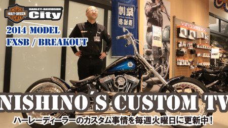 「Nishino's custom TV」アップしました。