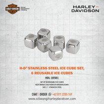 H-D Stainless Steel Ice Cube Set