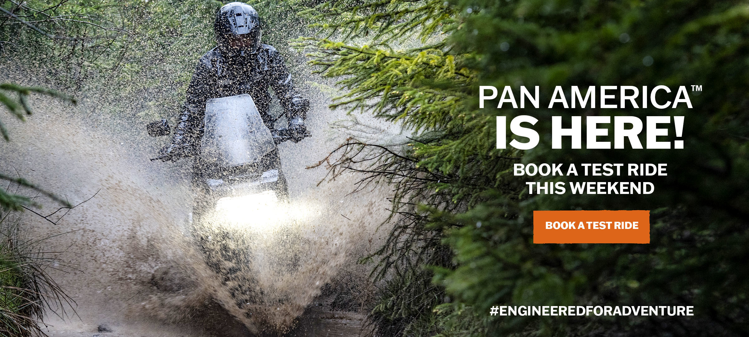 Dublin HarleyDavidson®