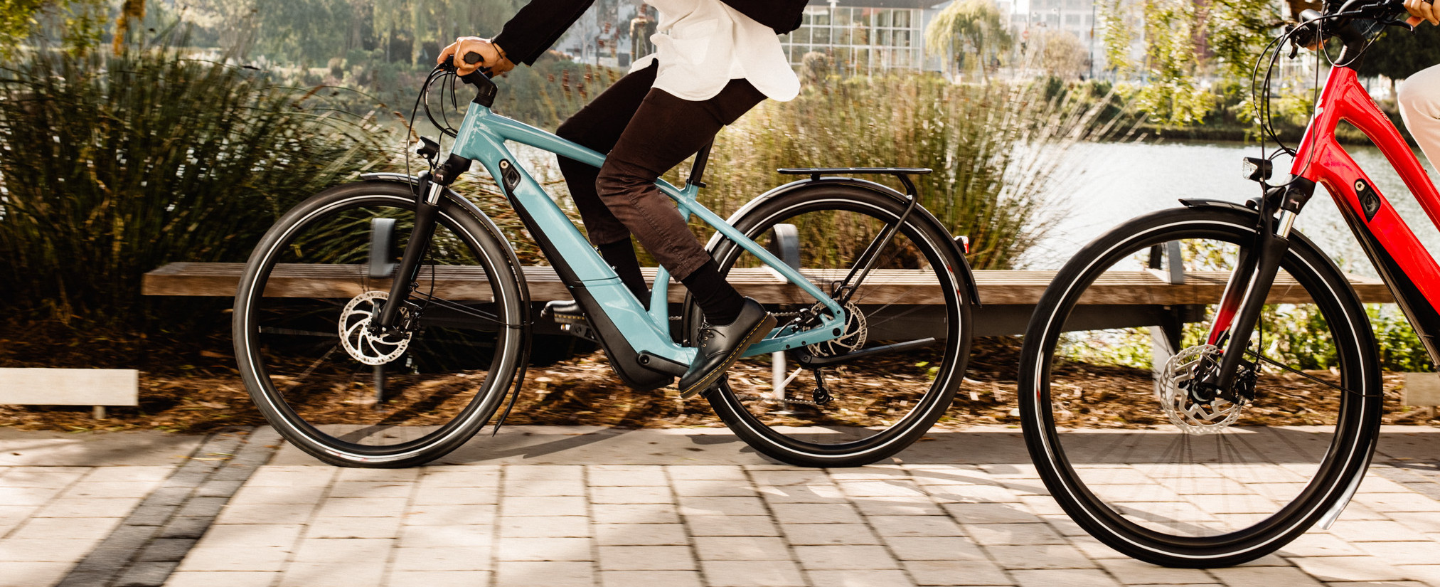 New Specialized Bicycles Ardmore, Pennsylvania Up to