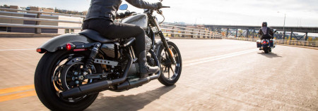 The stunning 2022 Harley-Davidson® Iron 883™ near Bradenton FL