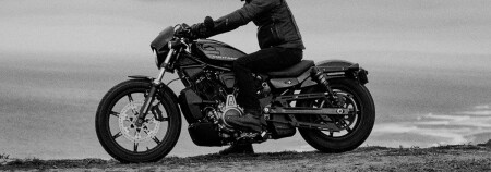 Shop 2022 Harley-Davidson® Nightster™ near Clearwater FL