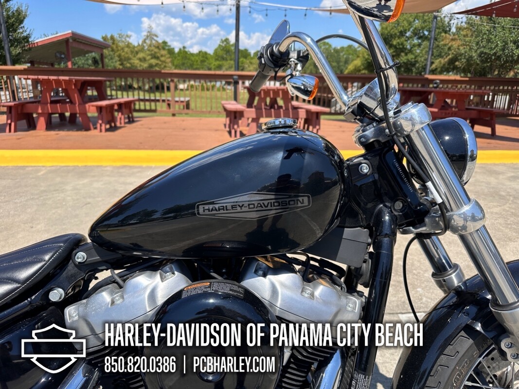 2020 Harley-Davidson Softail Standard - Photo 10