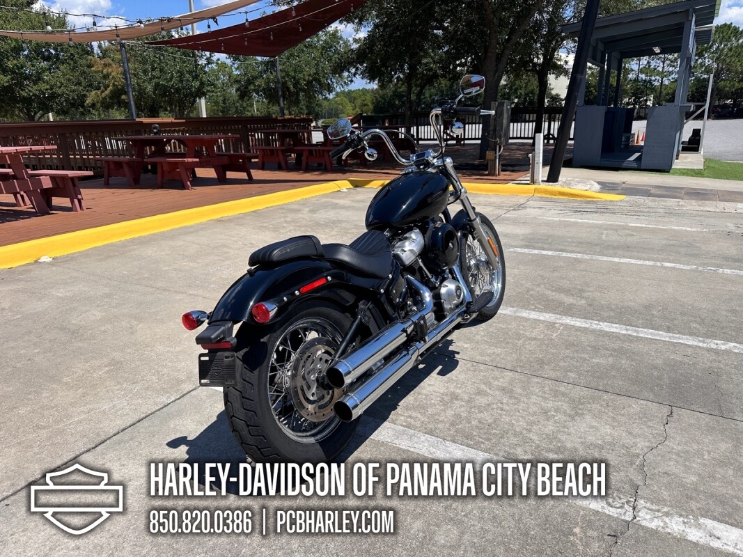 2020 Harley-Davidson Softail Standard - Photo 2