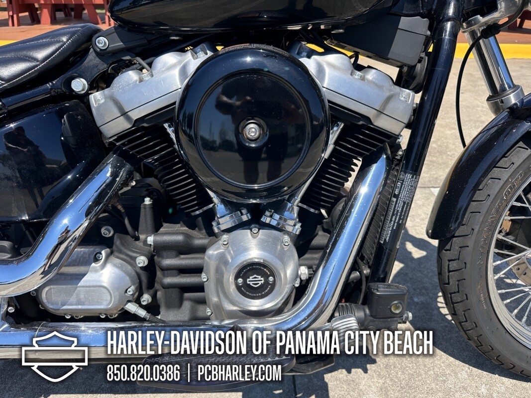 2020 Harley-Davidson Softail Standard - Photo 9