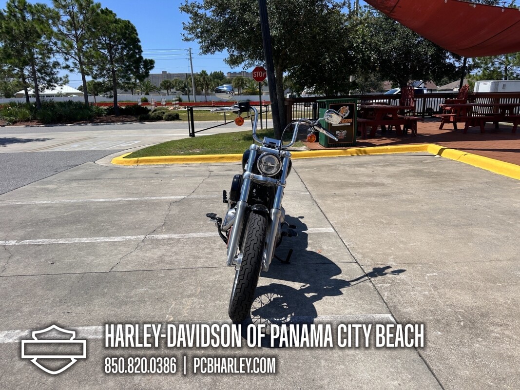 2020 Harley-Davidson Softail Standard - Photo 7