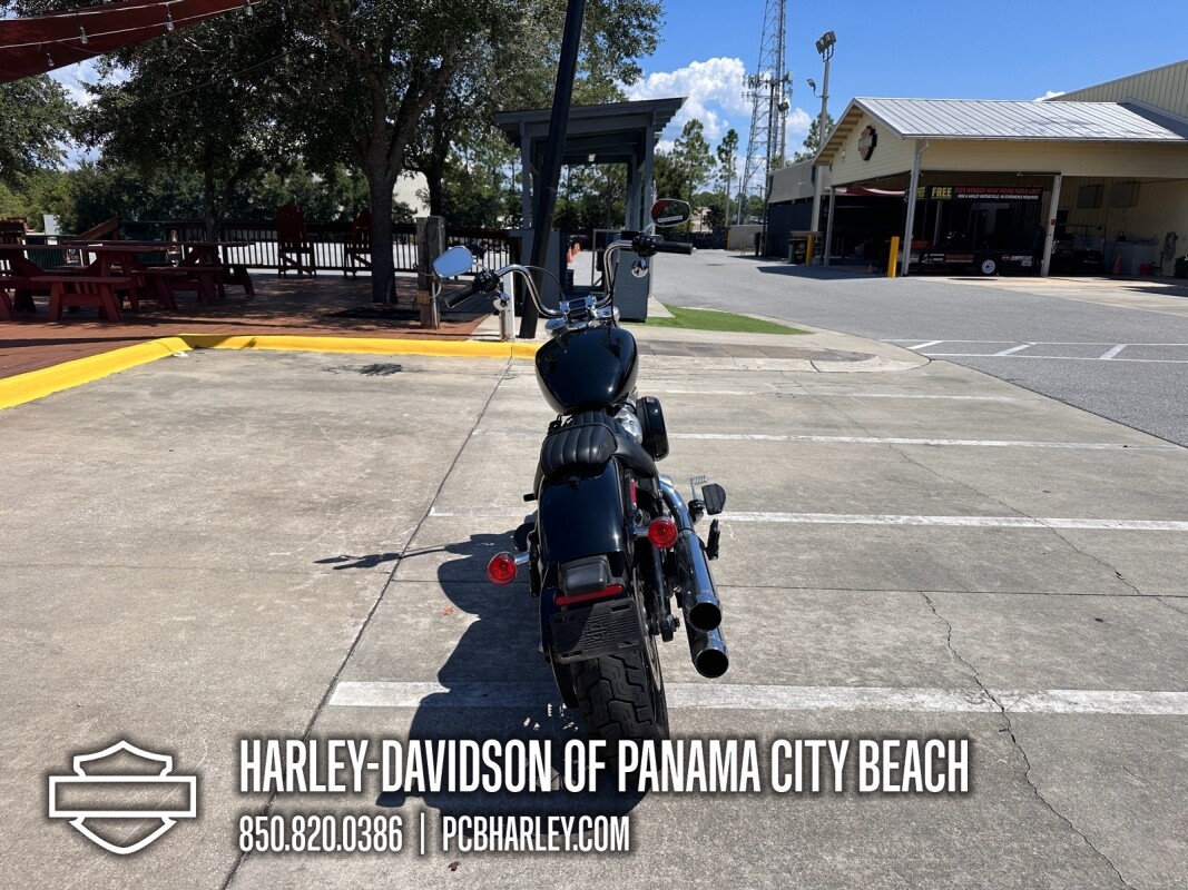 2020 Harley-Davidson Softail Standard - Photo 3