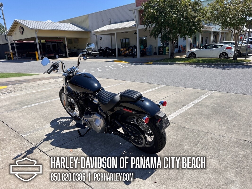 2020 Harley-Davidson Softail Standard - Photo 4