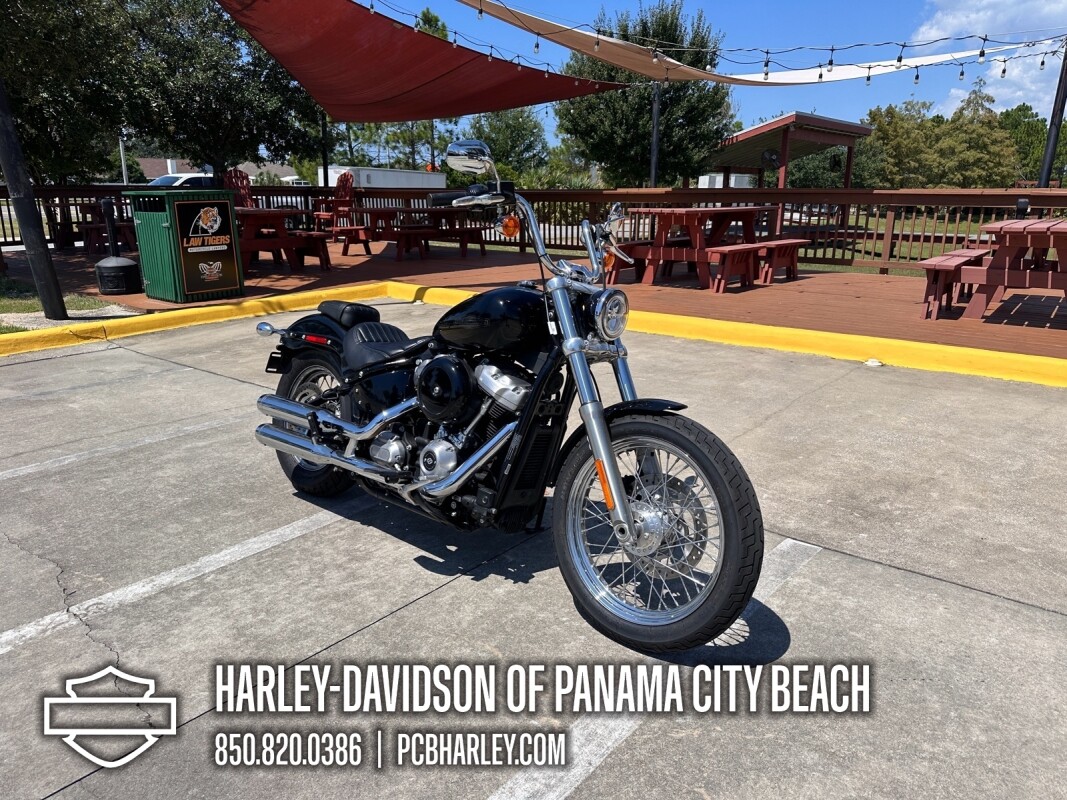2020 Harley-Davidson Softail Standard - Photo 8