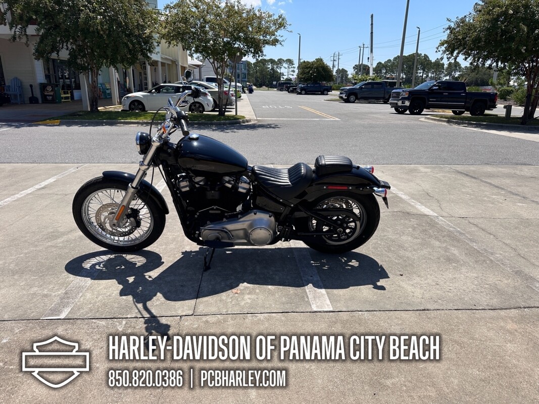 2020 Harley-Davidson Softail Standard - Photo 5