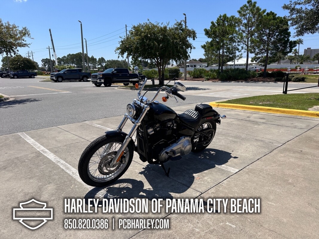 2020 Harley-Davidson Softail Standard - Photo 6