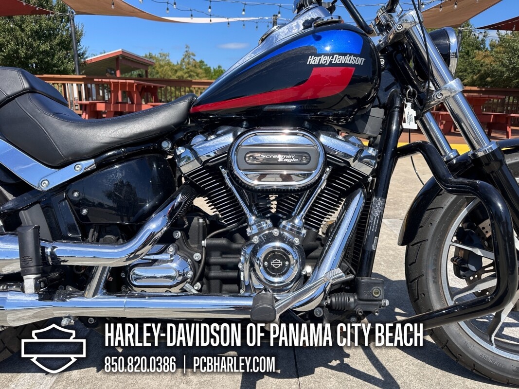 2019 Harley-Davidson Low Rider - Photo 9