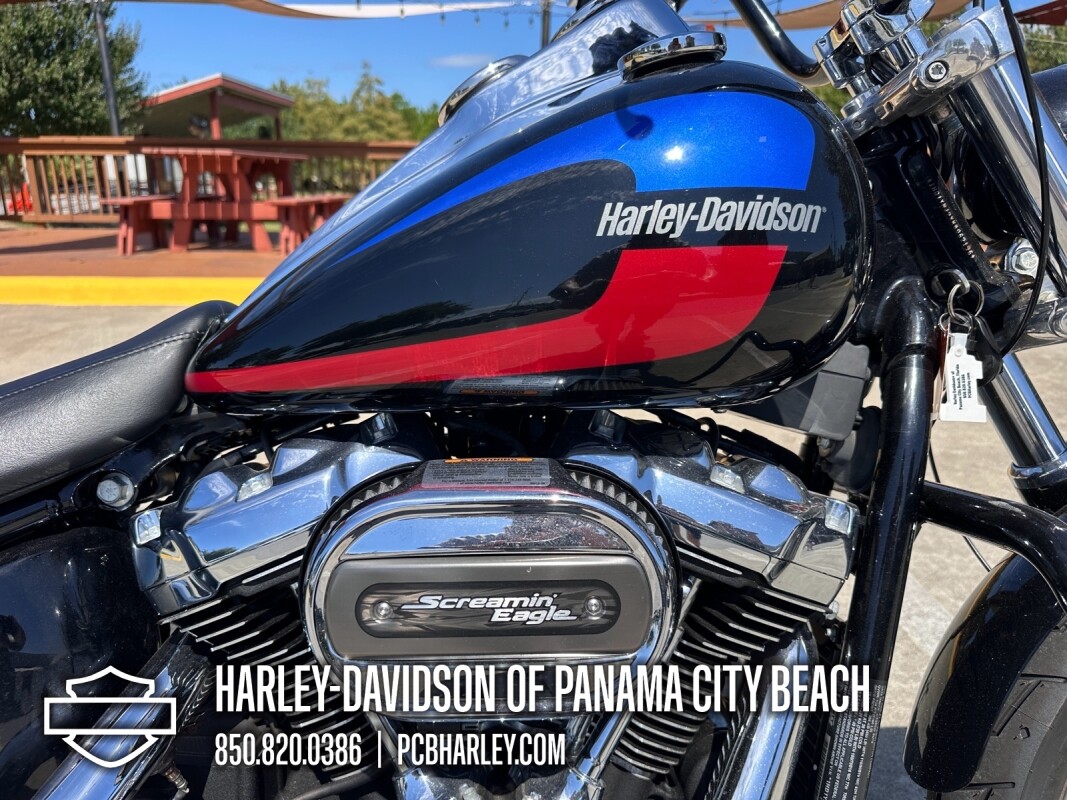 2019 Harley-Davidson Low Rider - Photo 10